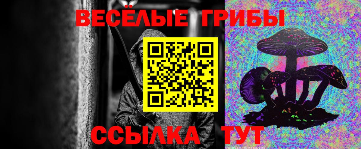 Галлюциногенные грибы ЛСД Белая Калитва