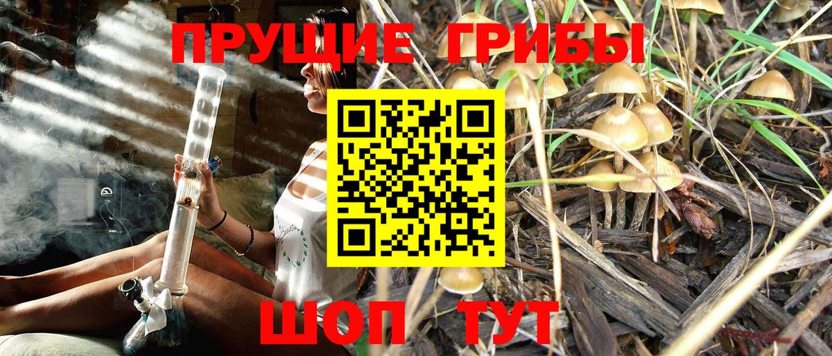 Псилоцибиновые грибы Psilocybine cubensis  Псилоцибиновые грибы мухоморы  Вход с VPN  Белая Калитва 